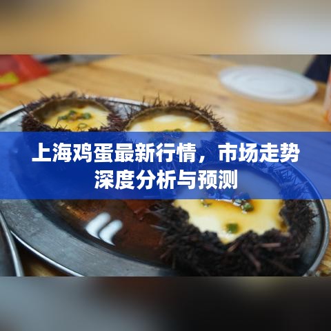 2025年5月4日 第5页