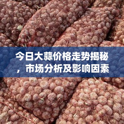 今日大蒜价格走势揭秘，市场分析及影响因素探讨