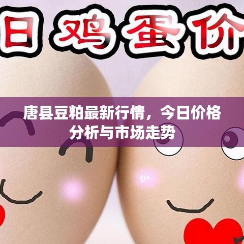 唐县豆粕最新行情，今日价格分析与市场走势