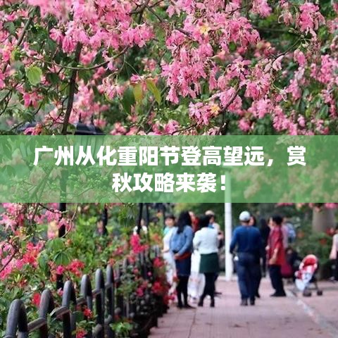 广州从化重阳节登高望远，赏秋攻略来袭！