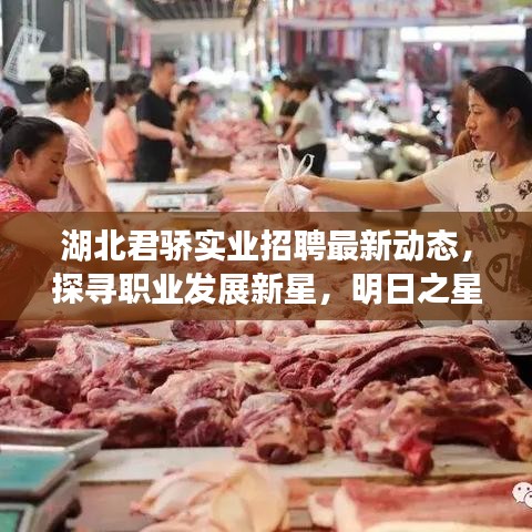 南辕北辙