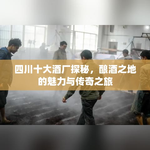 四川十大酒厂探秘，酿酒之地的魅力与传奇之旅
