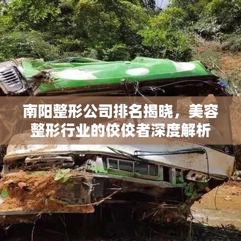 南阳整形公司排名揭晓，美容整形行业的佼佼者深度解析