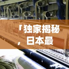 「独家揭秘，日本最搞笑企业排行榜，令人捧腹大笑的公司风采大放送」