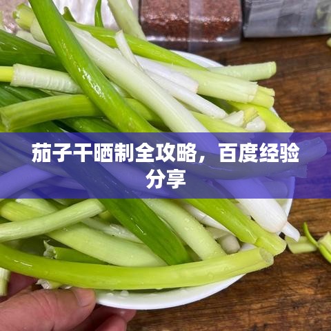 茄子干晒制全攻略，百度经验分享
