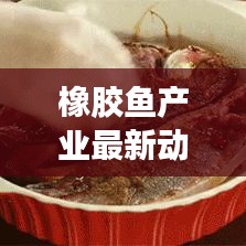 橡胶鱼产业最新动态及前景探索新闻头条速递