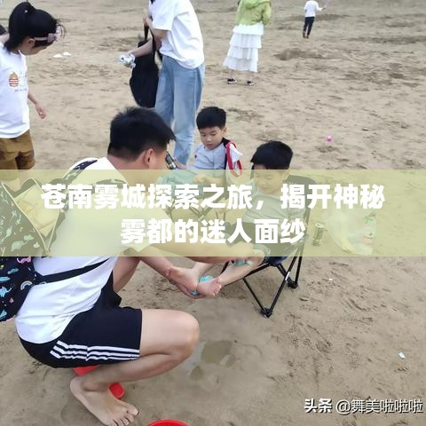 新闻动态 第156页
