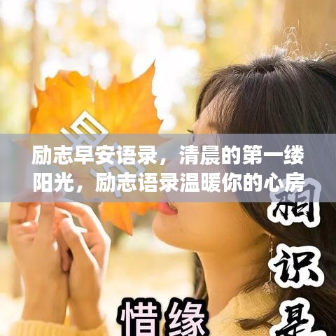 励志早安语录，清晨的第一缕阳光，励志语录温暖你的心房