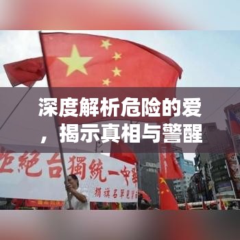 深度解析危险的爱，揭示真相与警醒世人