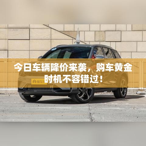 今日车辆降价来袭，购车黄金时机不容错过！