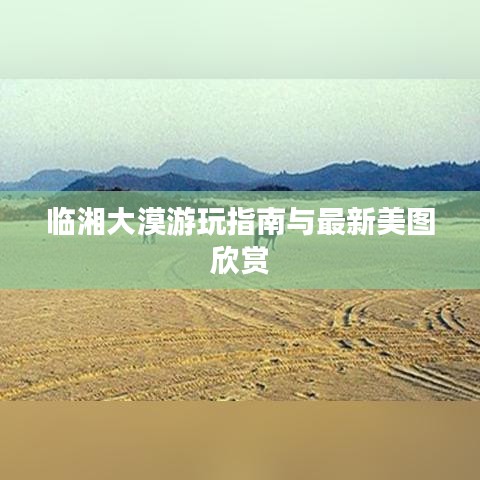 2025年5月7日 第13页