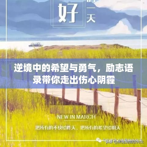 逆境中的希望与勇气，励志语录带你走出伤心阴霾