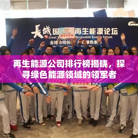 再生能源公司排行榜揭晓，探寻绿色能源领域的领军者