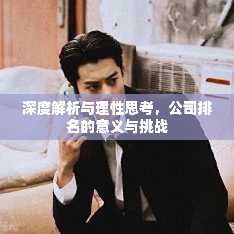 深度解析与理性思考，公司排名的意义与挑战