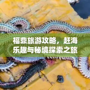 福鼎旅游攻略，赶海乐趣与秘境探索之旅！