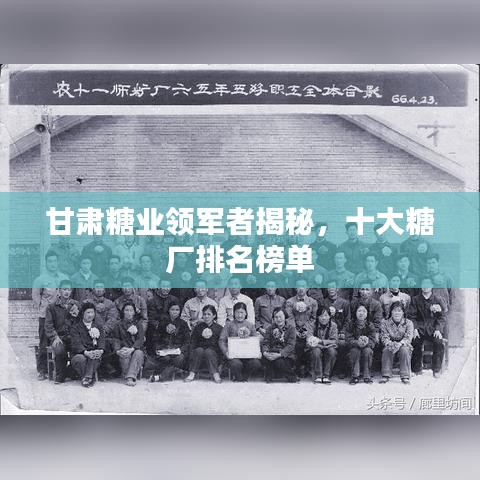 甘肃糖业领军者揭秘，十大糖厂排名榜单