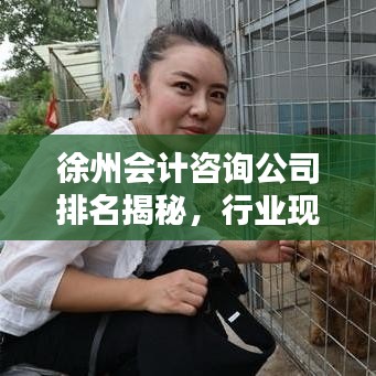 徐州会计咨询公司排名揭秘，行业现状及未来趋势分析