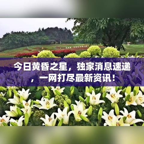 今日黄昏之星，独家消息速递，一网打尽最新资讯！
