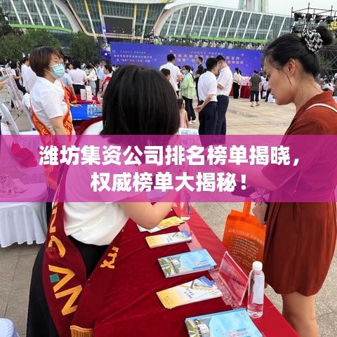潍坊集资公司排名榜单揭晓，权威榜单大揭秘！