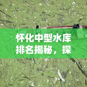 怀化中型水库排名揭秘，探秘十大水利工程的壮丽风采
