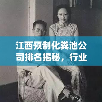 江西预制化粪池公司排名揭秘，行业洞察与深度解析