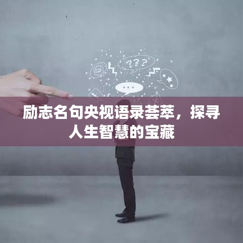 励志名句央视语录荟萃，探寻人生智慧的宝藏