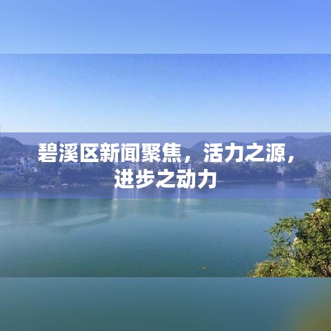 碧溪区新闻聚焦，活力之源，进步之动力