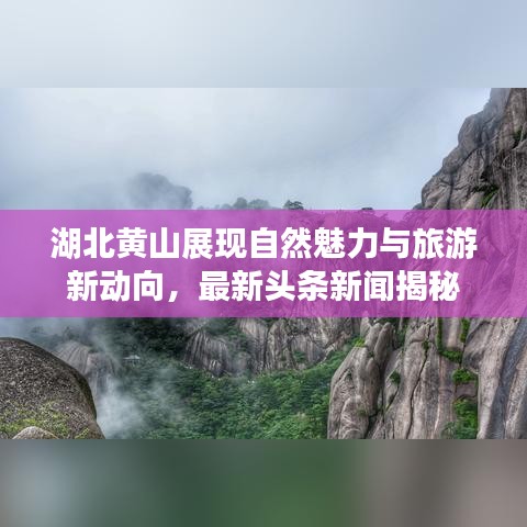 湖北黄山展现自然魅力与旅游新动向，最新头条新闻揭秘