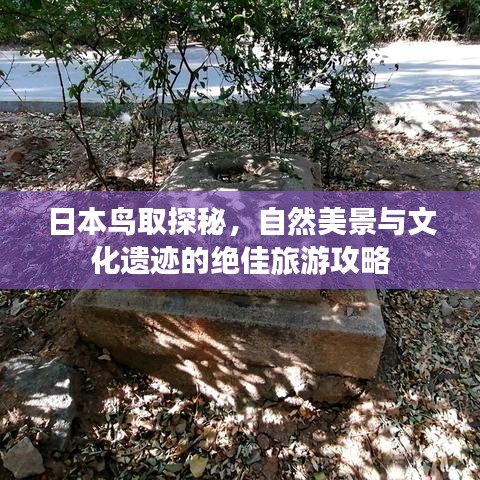 日本鸟取探秘，自然美景与文化遗迹的绝佳旅游攻略
