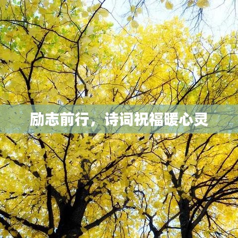 励志前行，诗词祝福暖心灵