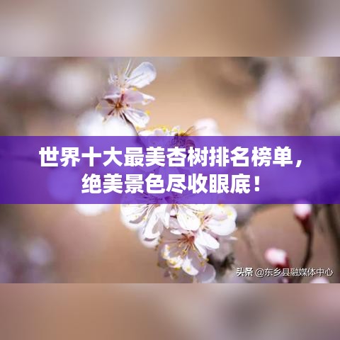 世界十大最美杏树排名榜单，绝美景色尽收眼底！