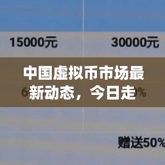中国虚拟币市场最新动态，今日走势分析与发展展望