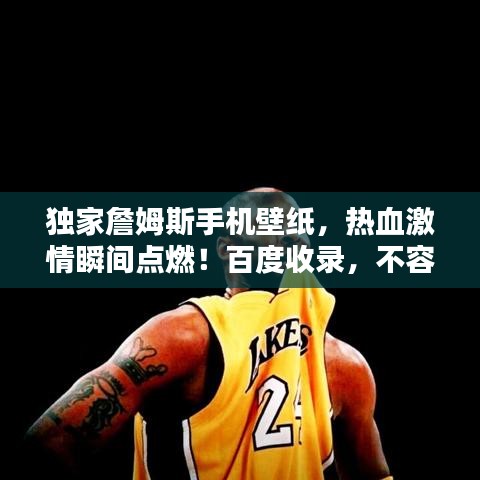 独家詹姆斯手机壁纸，热血激情瞬间点燃！百度收录，不容错过