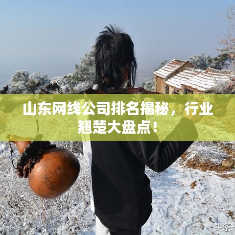 山东网线公司排名揭秘，行业翘楚大盘点！