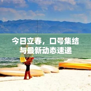 今日立春，口号集结与最新动态速递
