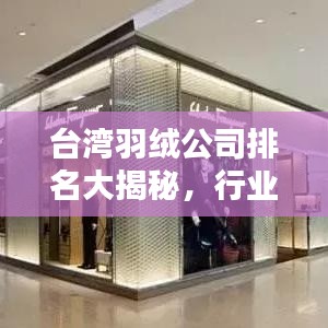 台湾羽绒公司排名大揭秘，行业领军者榜单全解析