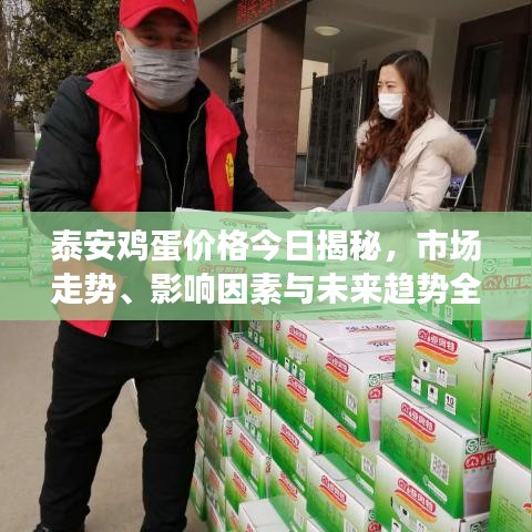 泰安鸡蛋价格今日揭秘，市场走势、影响因素与未来趋势全面解析
