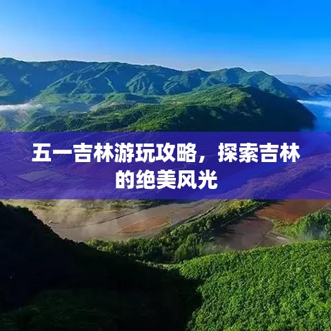 2025年5月16日 第43页