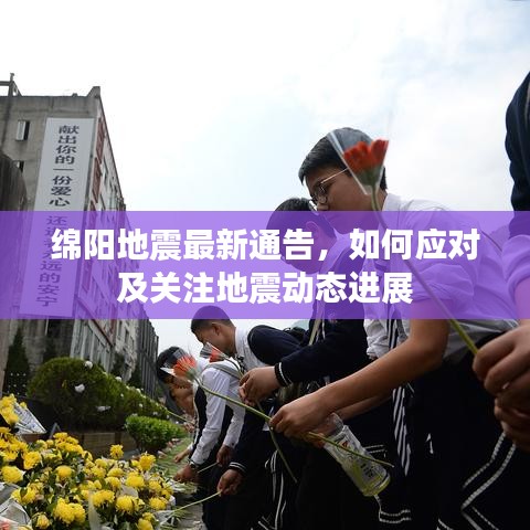 2025年5月16日 第11页