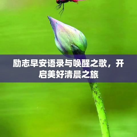 励志早安语录与唤醒之歌，开启美好清晨之旅