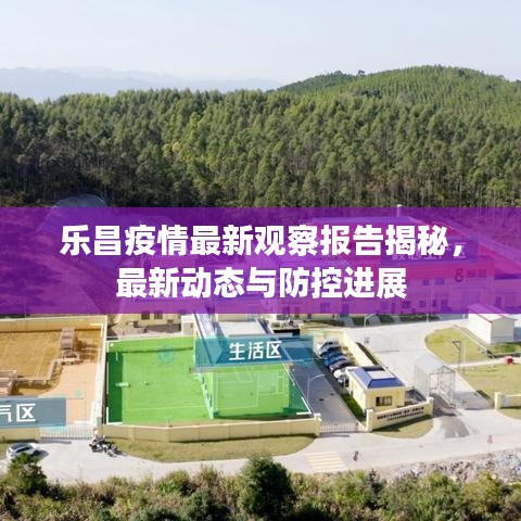 乐昌疫情最新观察报告揭秘，最新动态与防控进展