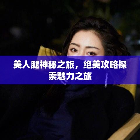 美人腿神秘之旅，绝美攻略探索魅力之旅