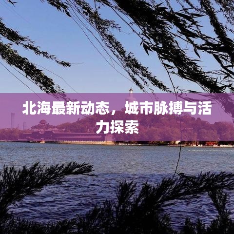 北海最新动态，城市脉搏与活力探索