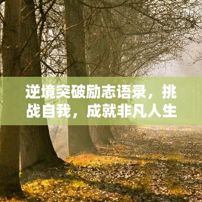 逆境突破励志语录，挑战自我，成就非凡人生之路