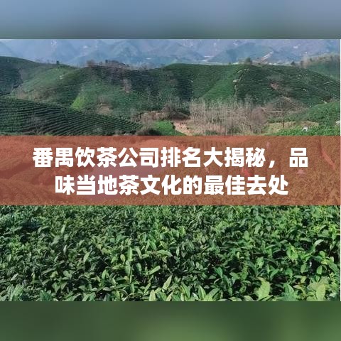 番禺饮茶公司排名大揭秘，品味当地茶文化的最佳去处
