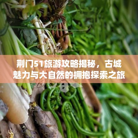 2025年5月18日 第46页