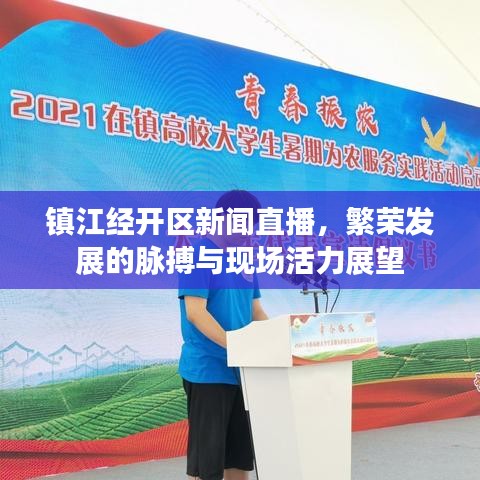 镇江经开区新闻直播，繁荣发展的脉搏与现场活力展望