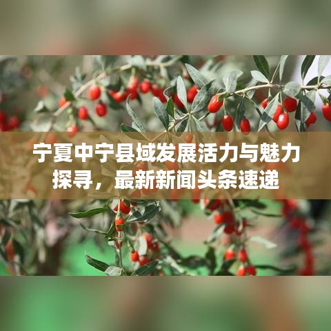 宁夏中宁县域发展活力与魅力探寻，最新新闻头条速递