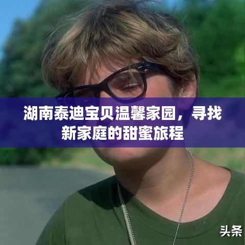 湖南泰迪宝贝温馨家园，寻找新家庭的甜蜜旅程