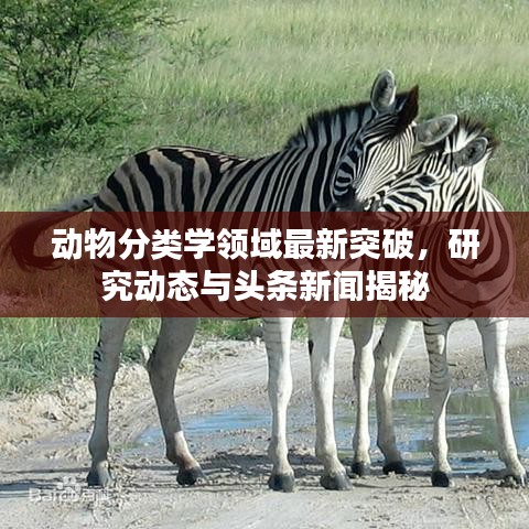 动物分类学领域最新突破，研究动态与头条新闻揭秘